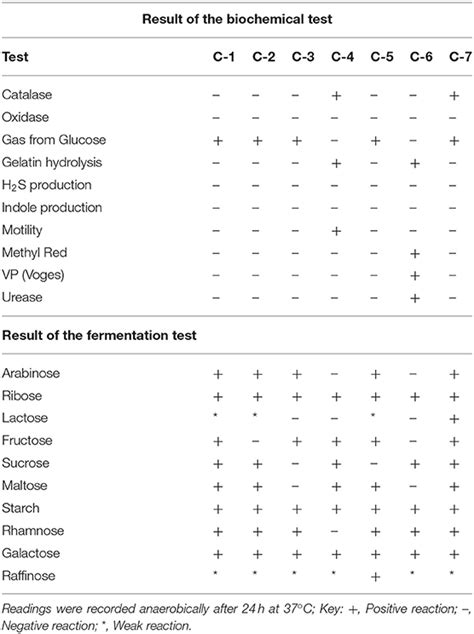 Frontiers The Prospects Of Lactobacillus Oris As A Potential