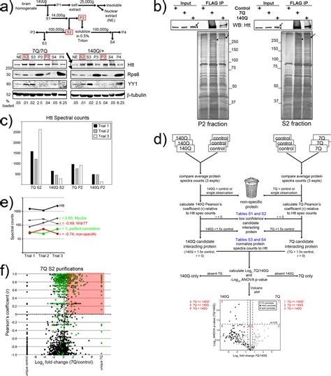 Proteomic Analysis Of Wild Type And Mutant Huntingtin Associated