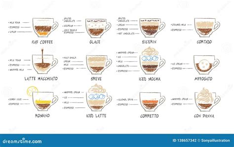 Vector Illustration Set Of Coffee Recipes Stock Vector Illustration