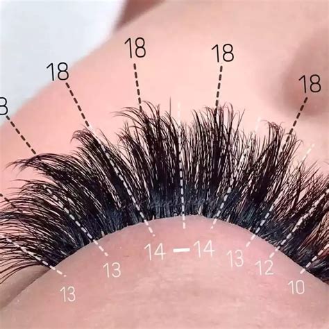 Lash Extension Mapping The Secret Weapon To Create Stunning Lashes For Your Clients