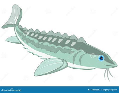 Vector Illustration Of The Cartoon Of Valuable Fish Sturgeon Stock