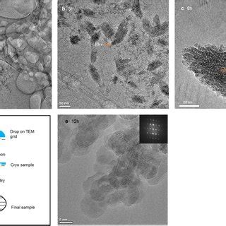 Cryo TEM Investigation Of The Growth Of Spindle Shaped Hm Mesocrystal