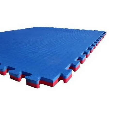 Interlocking Rubber Gym Mat Wholesaler from Delhi