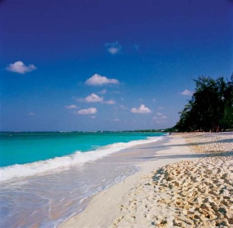 grand cayman island | Grand cayman island, Beaches in the world, Cayman ...