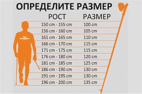 Виды треккинговые палки и техника их использования на горных трейлах