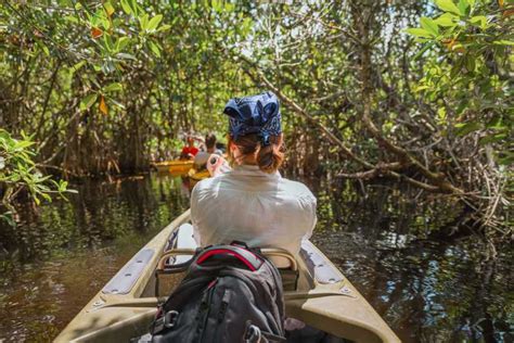 Tour ecológico kayak de túneles de manglar en los Everglades GetYourGuide