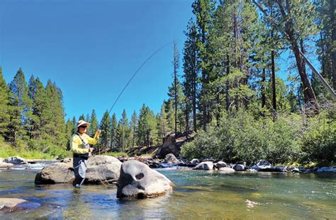 The Art Of Fly Fishing Learn To Unleash Your Inner Angler Tahoe Guide