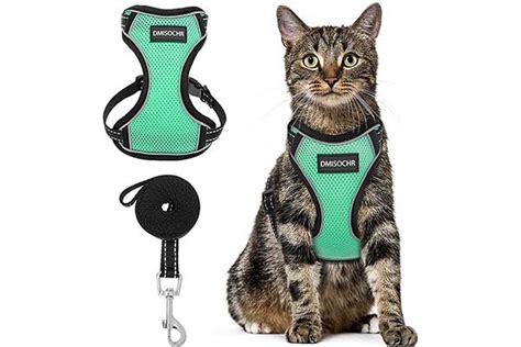 Top 10 Best Cat Harnesses In 2023 Reviews