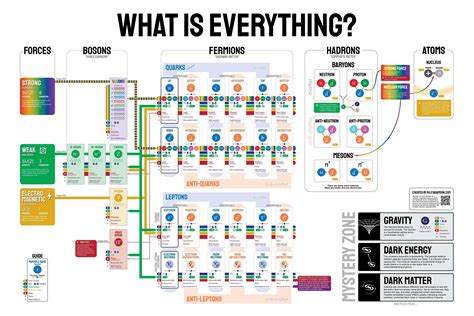 Elementary And Composite Subatomic Particles Infographic