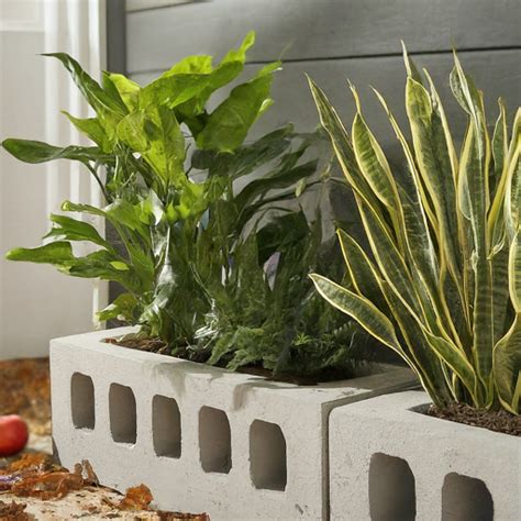 Diy Planter Box Ideas Comfy Ideas