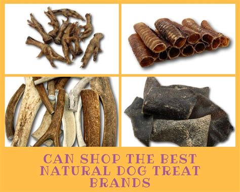 A wide selection of all-natural chews, healthy dog treats that your pet ...