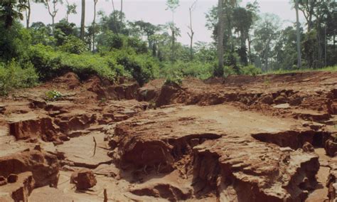 Deforestation in Philippines - Climate Change