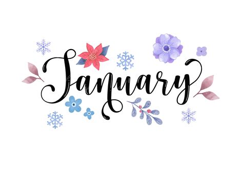 Premium Vector Hand Drawn January Month Lettering Typography For