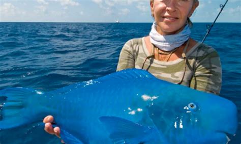 Real life 'Finding Dory'? Woman catches goofy-looking blue fish from ...