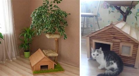 Домик для кошки или кота своими руками: конструкции, размеры, 72 фото