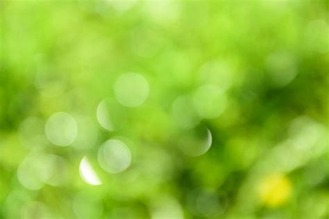 Premium Photo Bright Green Bokeh Natural Background