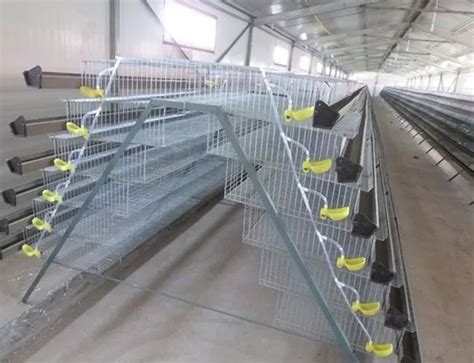 Quail Cages For Sale | Commercial Quail Cages | FAMtech