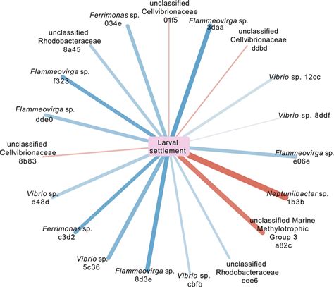 Network Analysis Of The Bacterial Community With The Settlement Data