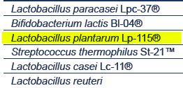 Lactobacillus plantarum Benefits & Side Effects — Probiotics.org