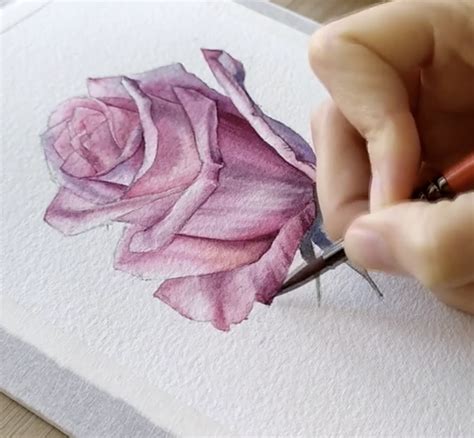 Desenhos Simples De Rosas A Lápis Para Crianças