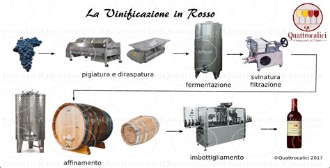 La Vinificazione In Rosso Conoscere Il Vino Quattrocalici