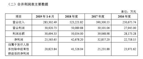 安克创新更新股票招股书，今年上半年净利润达256亿元