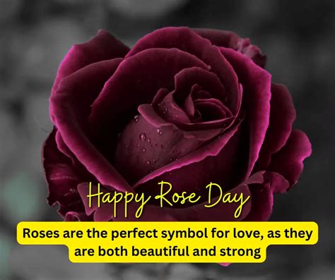 Best 101 Rose Day Shayari In Hindi रोज डे शायरी Happy Rose Day Shayari Shayari For Wife