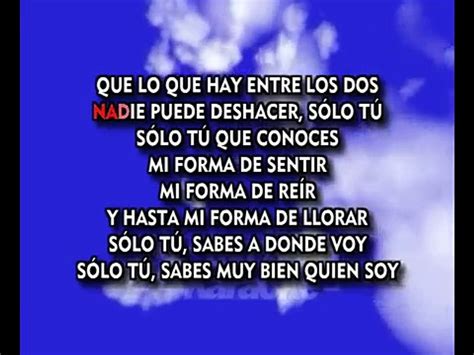 Pedro Fernandez Mi Forma De Sentir Karaoke Video Dailymotion