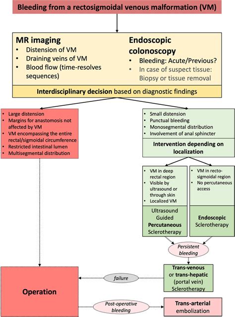 Therapeutic algorithm for the treatment of bleeding from a VM. | Download Scientific Diagram