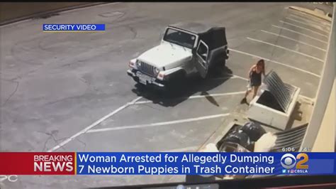 Coachella Woman Arrested For Allegedly Dumping Newborn Puppies In