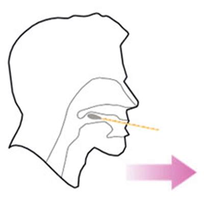Тест иммунохроматографический для выявления Стрептококка группы А в ...