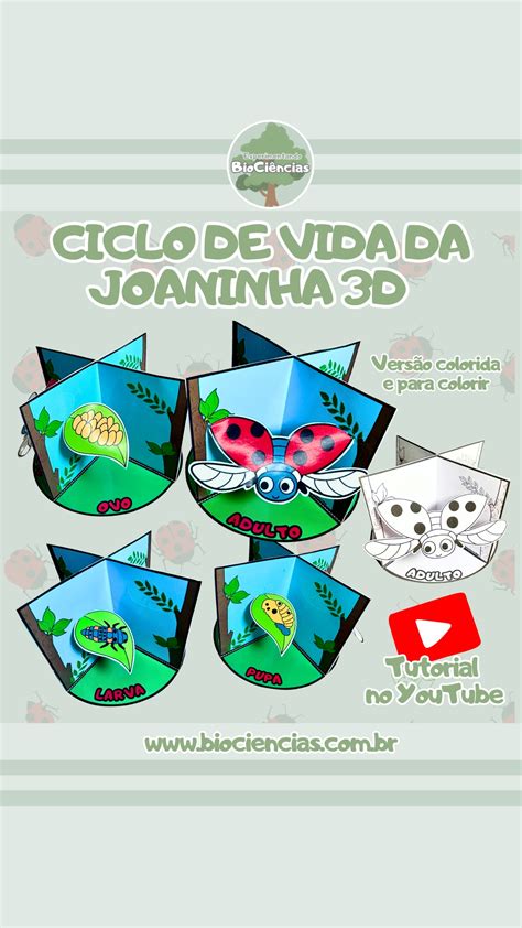 10-Ciclo de vida da joaninha 3D – Experimentando BioCiências
