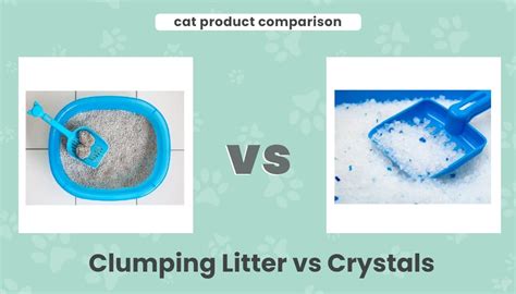 Clumping Litter Vs Crystals Which One Is Better Our 2023 Comparison Excited Cats