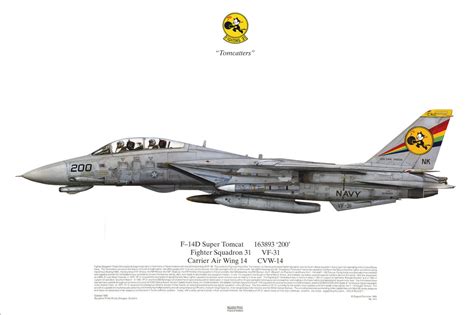 Squadron Print 514 F 14D Super Tomcat VF 31 USS Carl Vinson US Navy