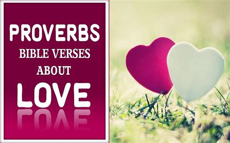 15 Popular Proverbs Bible Verses About Love Love Scriptures