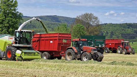 Raubkatze zurück im Gras Claas Jaguar 970 beim Gras häckseln