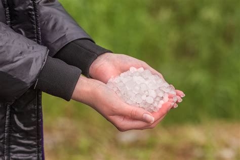 How Do You Handle Hail Damage To A Roof WABO Roofing Systems