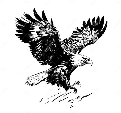 Eagle Flying Sketch Hand Drawn Engraving Style Vector Illustration ...