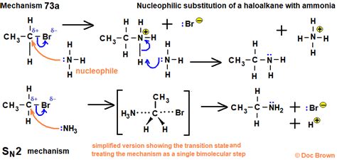 Nucleophilic Substitution Reaction Between Ammonia Amines With