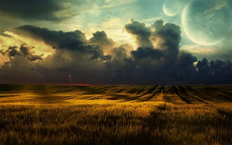 Brown Rice Field Under Gray Clouds At Golden Hour Nature Landscape