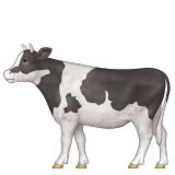 Cow Emoji - Copy & Paste - EmojiBase!