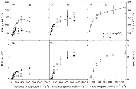 Bg Ocean Acidification And High Irradiance Stimulate The Photo