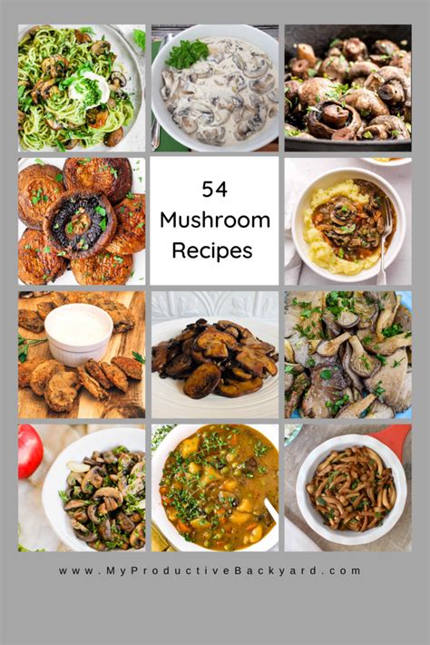 54 Mushroom Recipes - My Productive Backyard