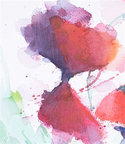 Poppies in Watercolor on Behance