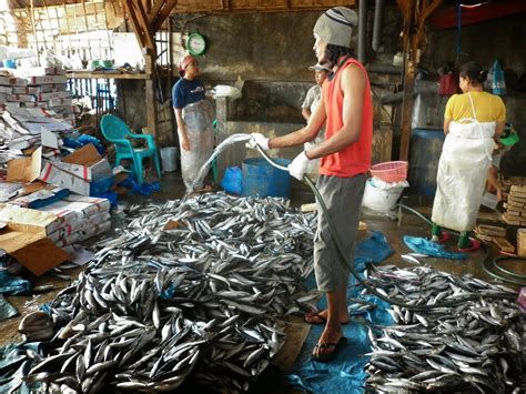 Teknologi Pengolahan Ikan Pengolahan Ikan Secara Fisikawi