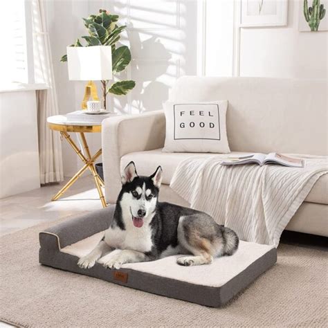 Emme Cama Ortop Dica Grande Para Perro Amiwis