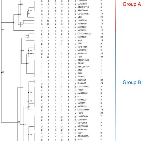 MLST (Multi Locus Sequence Typing) analysis of B. licheniformis. The ... 