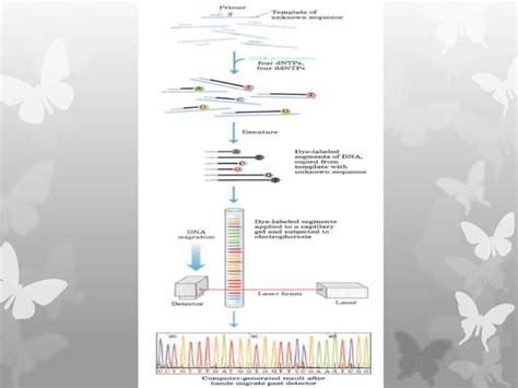 Protein and nucleic acid sequencing | PPT