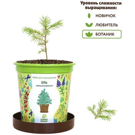 Набор для выращивания HAPPY PLANT Ель необыкновенная, hpn-10 — купить в ...