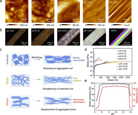 Structural and mechanical characterization for the single-composition ...